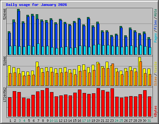 Daily usage for January 2026