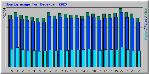 Hourly usage for December 2025