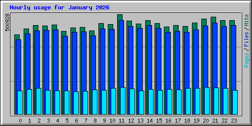 Hourly usage for January 2026