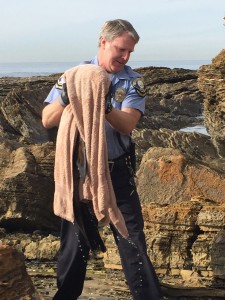 Newport Beach Police Department Animal Control Officer Mike Teague rescues a sea lion