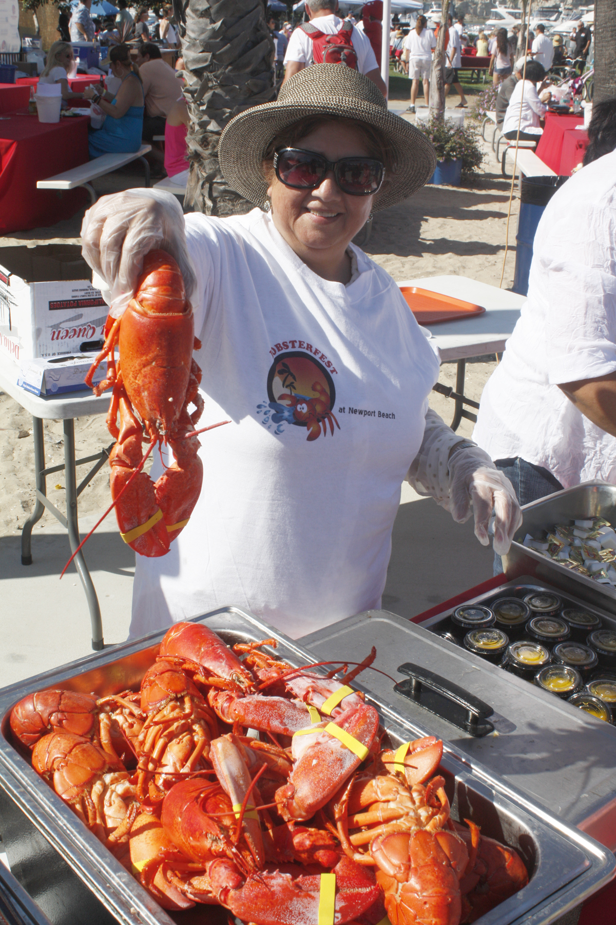 Get Ready for the 8th Annual Lobsterfest - Newport Beach News