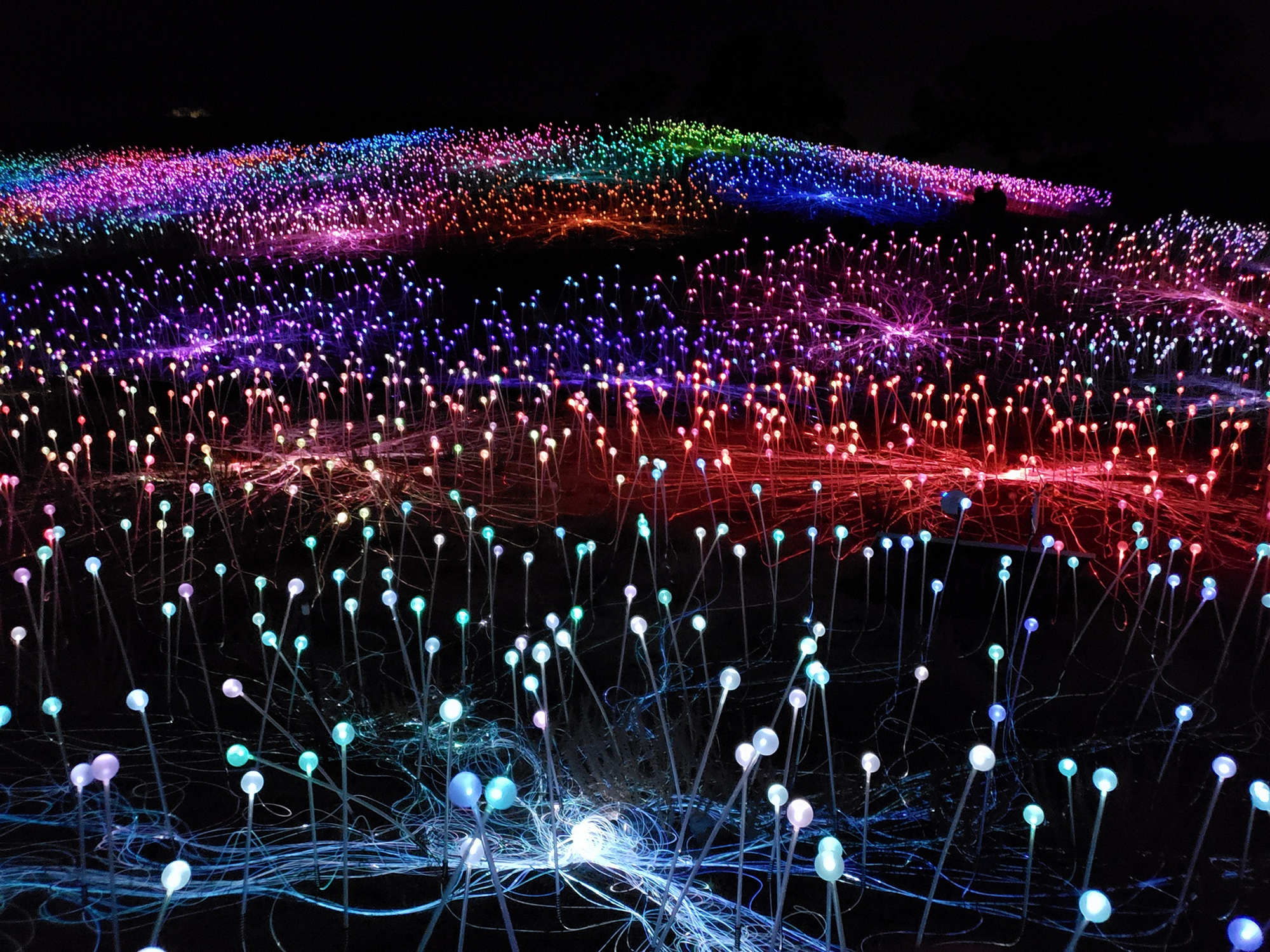 Поли свет. Bruce Munro field of Light. Феномен Брюса Манро «поле света».. Sensorio Калифорния. Поля света в Сенсорио.